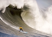 关于英超最新形势：明尼苏达森林狼高居榜首，波士顿凯尔特人强势追赶，冠军归属成迷的信息