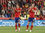 竞争白热化！欧洲足球职业队伍搏尽全力的简单介绍